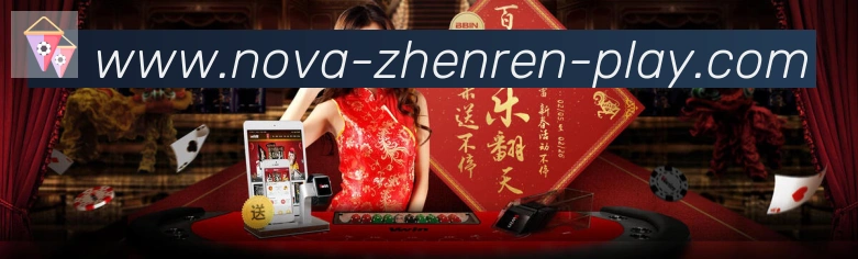 未来规划